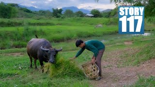 [Story 117] Feeding the carabao, foraging wild ampalaya leaves,  cooking chicken soup - Tinola!