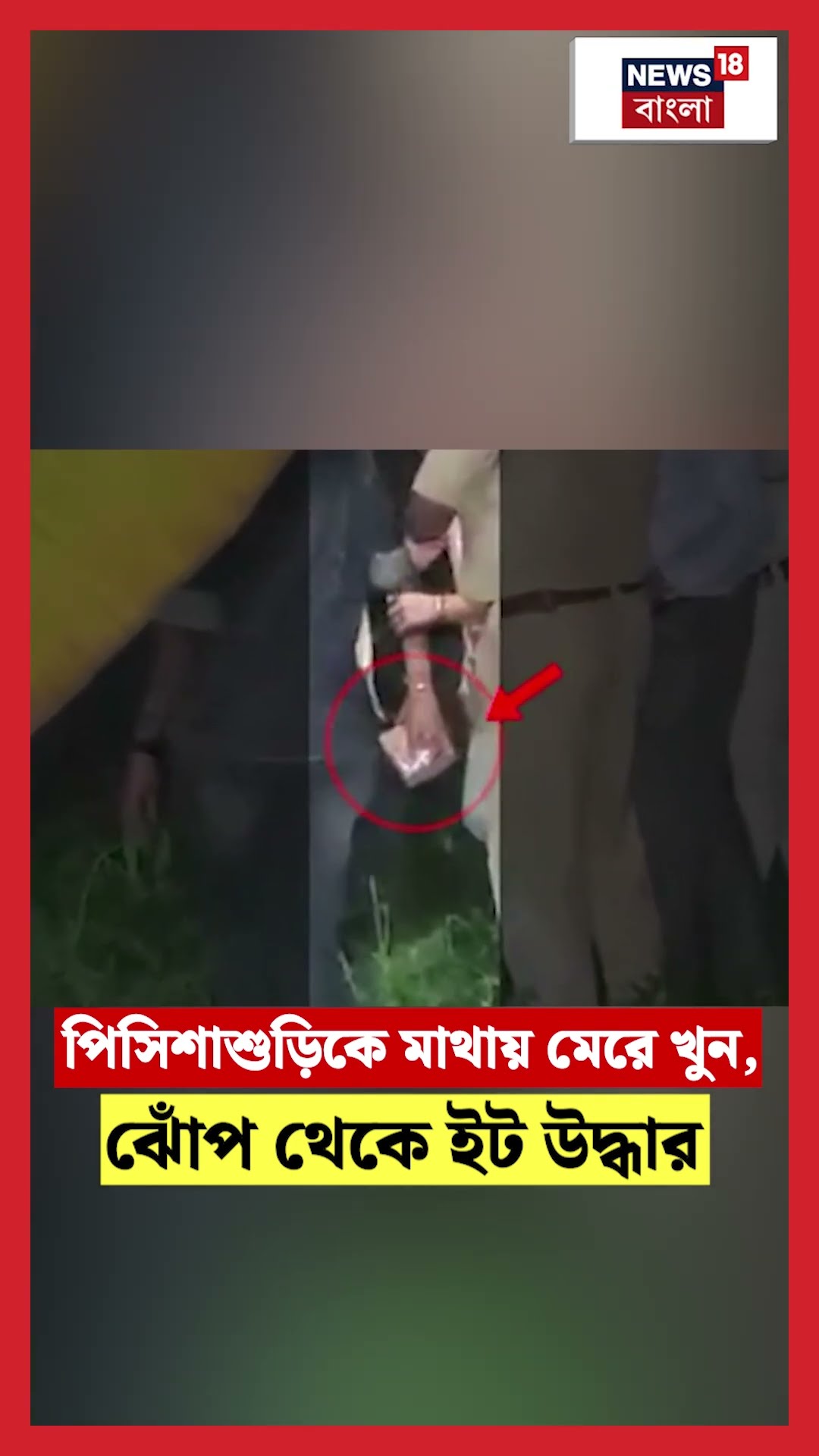 সুটক্যেস কাণ্ডে পিসিশাশুড়িকে মাথায় মেরে খুন, ঝোঁপ থেকে ইট উদ্ধার #shorts