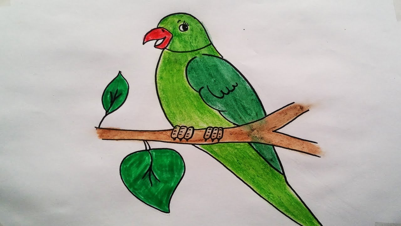 Drawing for beginners bird| Parrot drawing easily| Very easy step ...