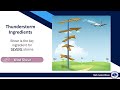 Storm Spotter Training: Thunderstorm Basics