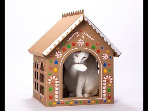 Is it too early to be thinking about a Christmas present for your cat?