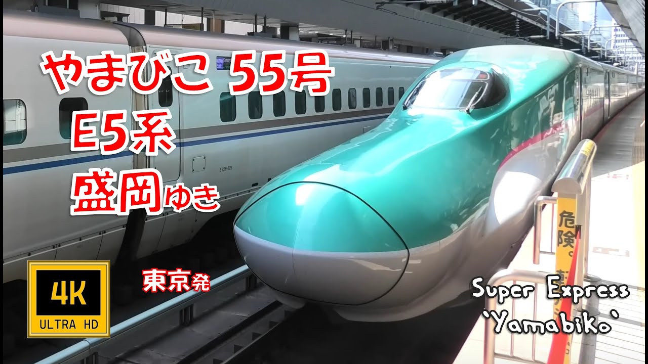 東北新幹線 やまびこ55号 E5系 盛岡ゆき(車窓)　Tohoku Shinkansen , Yamabiko No.55 , For Morioka .