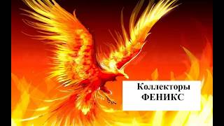 Коллекторы Феникс не знают что такое ДОЛГ Коллекторы Феникс не знают что такое ДОЛГ
