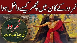 Namrood aur Machar ka Waqia / Namrood aur Hazrat Ibrahim Ali Salam ka waqia / Rana Voice / Urdu