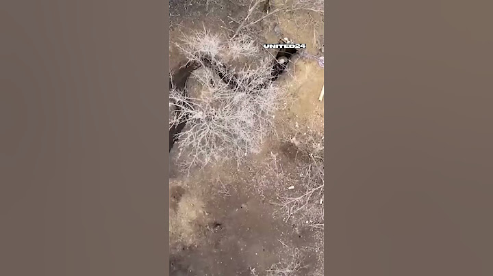 Bakhmut. Ukrainian soldiers storm Russian-held 'Cyclops' trench #warinukraine #drones #shorts