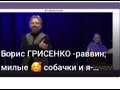 Борис ГРИСЕНКО -раввин; милые 🥰 собачки и я- делимся любовью с вами и психологической помощью