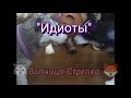 Шляйх клип &quot; Идиоты&quot; ( в честь 132 подписки!)