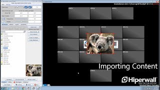 Celebrity Importing Content | Hiperwall Feature Spotlight Net Worth