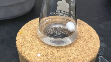 Recrystallization of Diels-Alder adduct with maleic anhydride