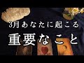 ３月あなたに起こる「重要」なこと【ルノルマンカードリーディング占い】