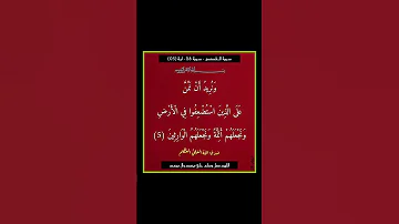سورة القصص سورة 28 اية 05 