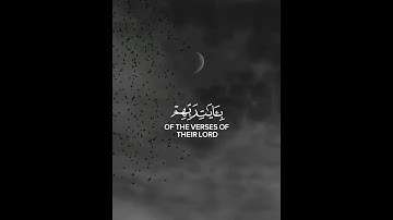 اكتب شيء تؤجر عليه 😴💚 قران كريم | القارئ محمد اللحيدان