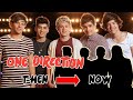 One Direction (2010) Then and Now (2021) | Real Name, Age, Bday | EmtrioTV