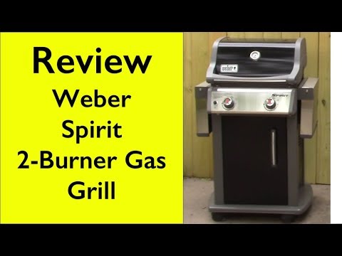 Review Weber 46110001 Spirit E210 LP 2-burner grill