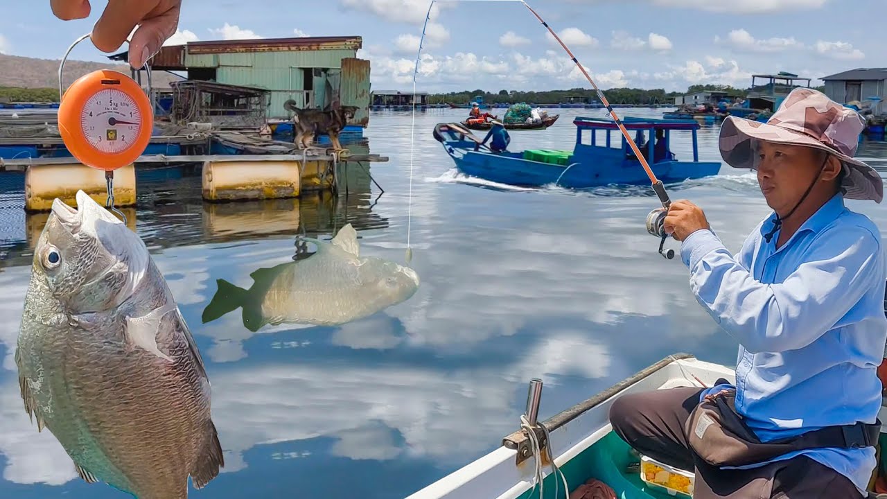 Câu Cá Trên Làng Bè Lớn Nhất Vũng Tàu║Có Cá Là Cân Tại Chỗ Luôn