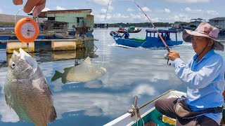 Câu Cá Trên Làng Bè Lớn Nhất Vũng Tàu║Có Cá Là Cân Tại Chỗ Luôn