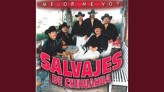 Video thumbnail of "Salvajes De Chihuahua - Ando Navegando"