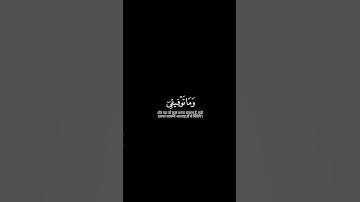 ﴿وما توفيقي إلا بالله عليه توكلت وإليه أنيب﴾ سورة هود سعد الغامديMuslim book