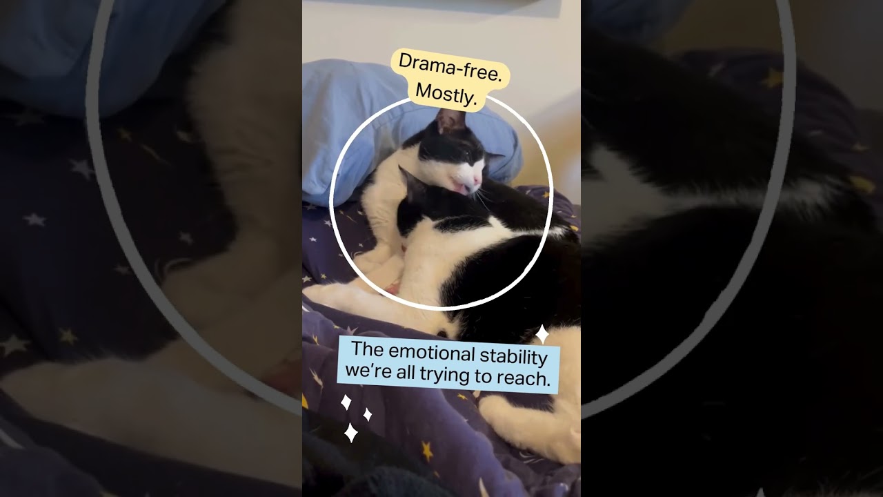 Because sometimes the healthiest ones in the house… are the pets