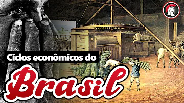 Em qual região brasileira as atividades econômicas foram desenvolvidas?