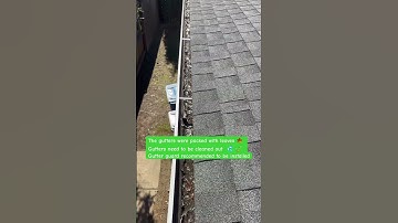 Gutters need to be cleaned out and gutter guards installed #PestInspection