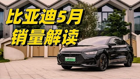 比亞迪5月銷量解讀：11款車型銷量破萬，爭議中再創新高 - 天天要聞