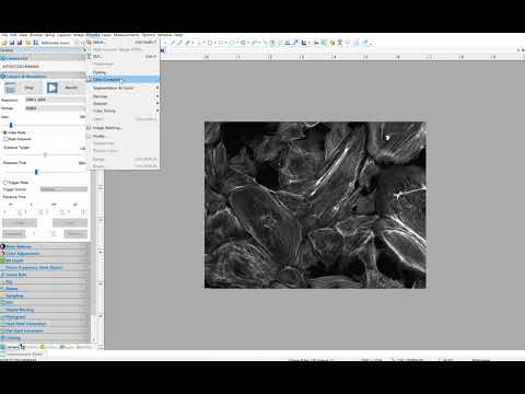 Microscope camera software introduction: Live Fluorescence Composite