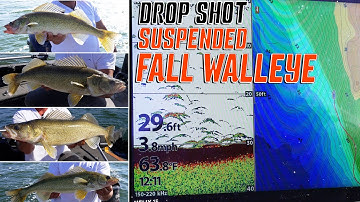 Drop Shotting Stacked & Suspended Fall Walleye