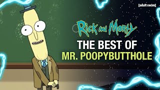 The Best Of Mr. Poopyhole Rick And Morty Adult Swim