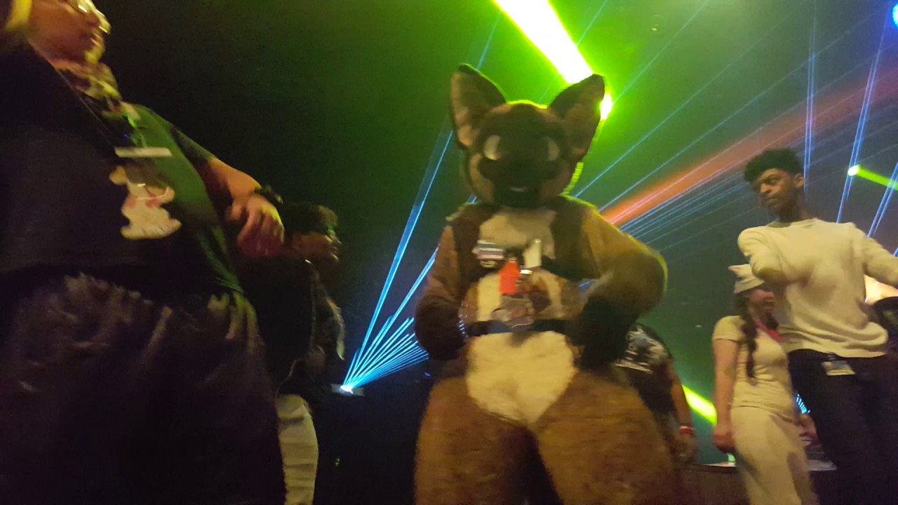Anthrocon 2017: Saturday Rave (pt. 2) - YouTube