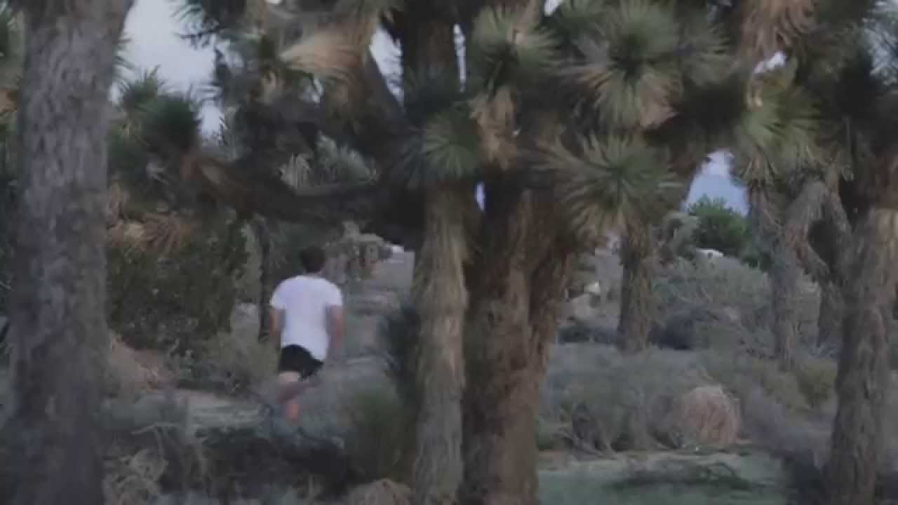 The Cosmopolites // "Elemental Haiku" (OFFICIAL VIDEO)