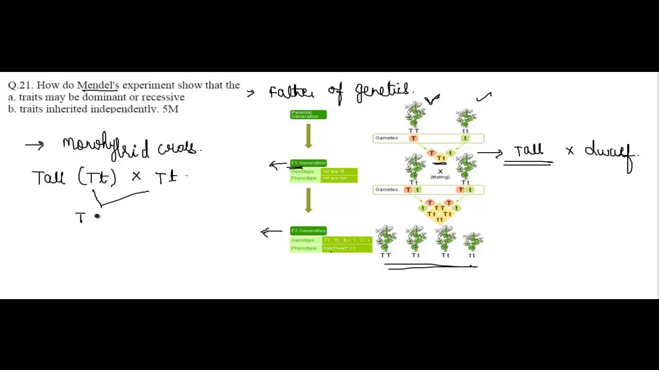 knowledge base CBSE 2015 Class 10 Biology 5 Marks, 1 Question Solution