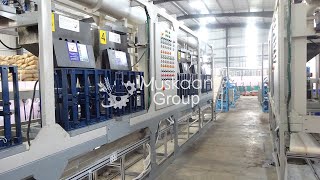 Automatic Cashew Nut  Shelling Machine   Muskaan Group