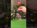 tips para propagar camelias #plantas