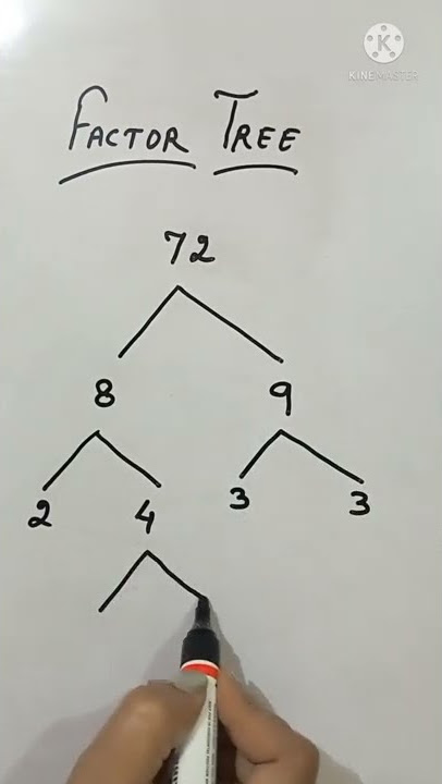 Factor Tree(Prime factorisation)