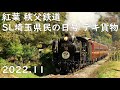 紅葉 SL埼玉県民の日号 デキ貨物 他 秩父鉄道 2022.11
