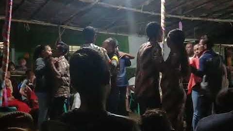 Dansa Timor