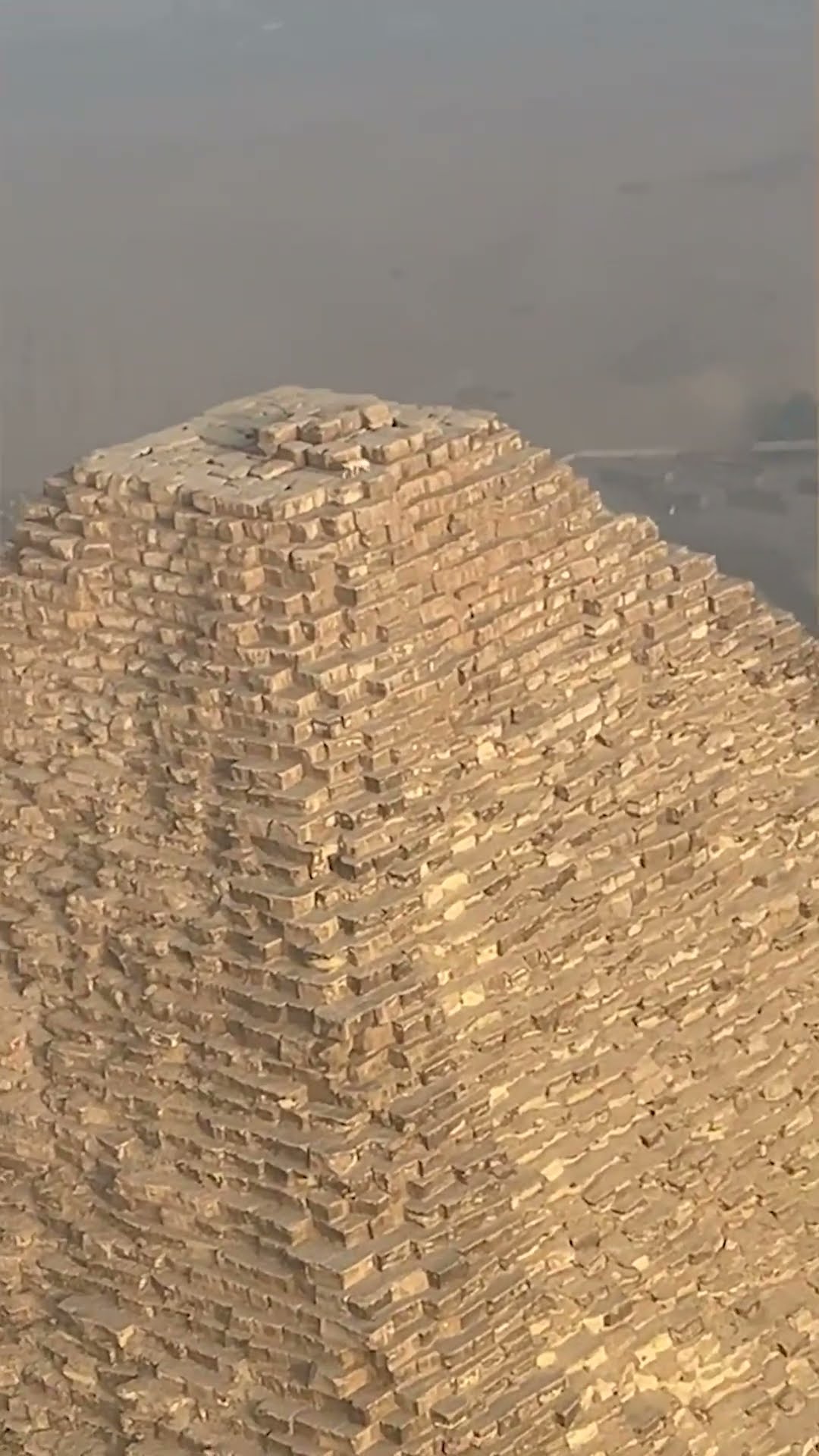 Dog Takes Over Pyramid