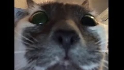 The Parallax II: Future Sequence 1 hour 12 mins long