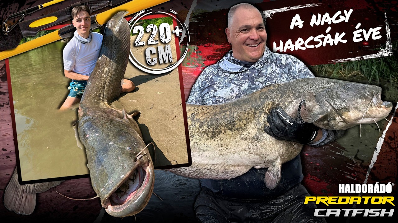 Takács Péter - A nagy harcsák éve