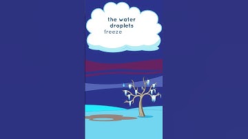 Weather Words: Freezing Rain!