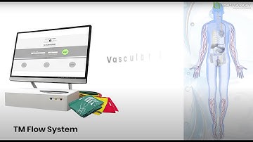 TM Flow System Intro