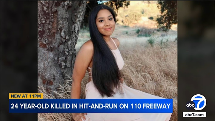 Mother speaks out after 24-year-old daughter killed in hit-and-run on 110 Freeway in LA County