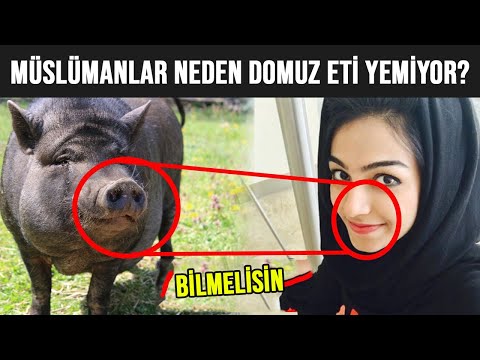 Müslümanlara Neden Domuz Eti Yemek Haram? (YASAK)