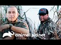 Agentes detêm dois caçadores com arma irregular | Protetores do Pântano | Animal Planet Brasil