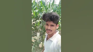 hamra sasur ji ke Beti #myfirstvlog #viralvideo #trending #shorts #ytshorts #kheti #kisan #stetus