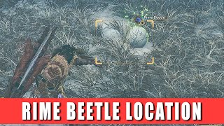 Rime Beetle Location Monster Hunter Wilds Where to find the Rime Beetle