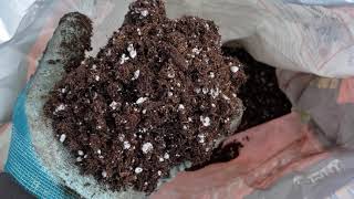 Potting Soil Review Black Gold Natural & Organic Potting Soil vs Sta-Green, Kellogg & Dr. Earth