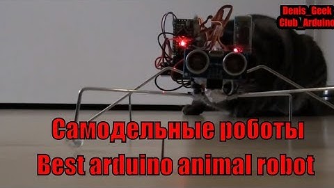 Самодельные  роботы на ардуино Топ 10 лучших животноподобных роботов