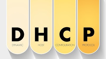 Découvre le secret du DHCP en réseau !